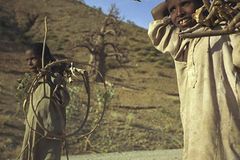 Fotogalerie: Eritrea