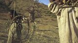 Fotogalerie: Eritrea