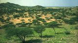 Fotogalerie: Eritrea - Bild 7