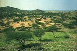 Fotogalerie: Eritrea - Bild 7