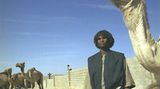 Fotogalerie: Eritrea - Bild 9