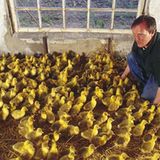 Ökolandbau: Landwirtschaft ohne Gift und Gentechnik - Bild 5