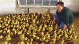 Ökolandbau: Landwirtschaft ohne Gift und Gentechnik - Bild 5