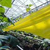 Ökolandbau: Landwirtschaft ohne Gift und Gentechnik - Bild 6