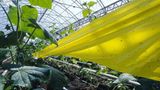 Ökolandbau: Landwirtschaft ohne Gift und Gentechnik - Bild 6