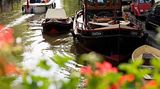 Fotogalerie: Amsterdam