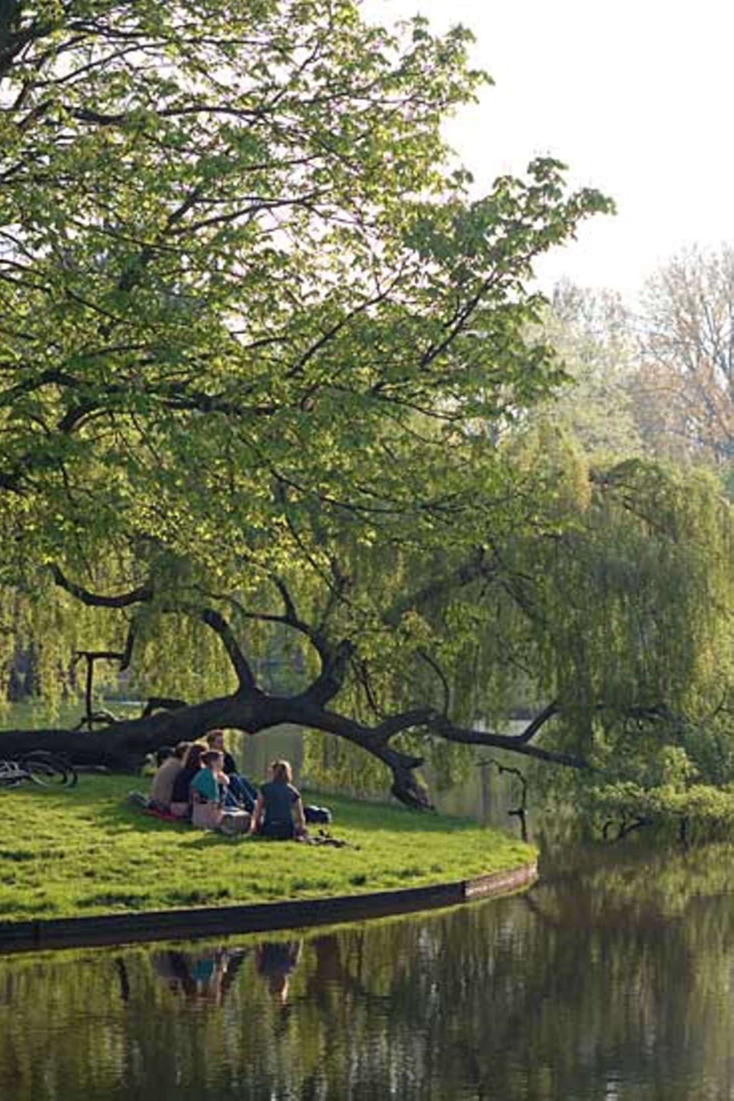 Fotogalerie: Amsterdam - Bild 9