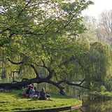 Fotogalerie: Amsterdam - Bild 9