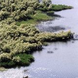 Fotogalerie: Montenegro - Bild 2