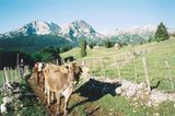 Fotogalerie: Montenegro - Bild 8