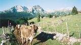 Fotogalerie: Montenegro - Bild 8