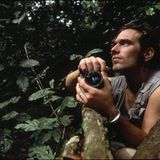 Fotostrecke: Zu Hause im Regenwald - Bild 19