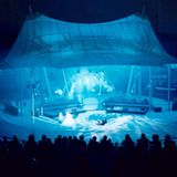 Fotogalerie: Gelsenkirchen