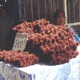 Fotogalerie: Südsee - Bild 4