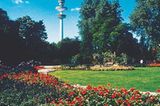 Fotogalerie: Hamburg - Bild 4