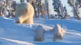 Hudson Bay