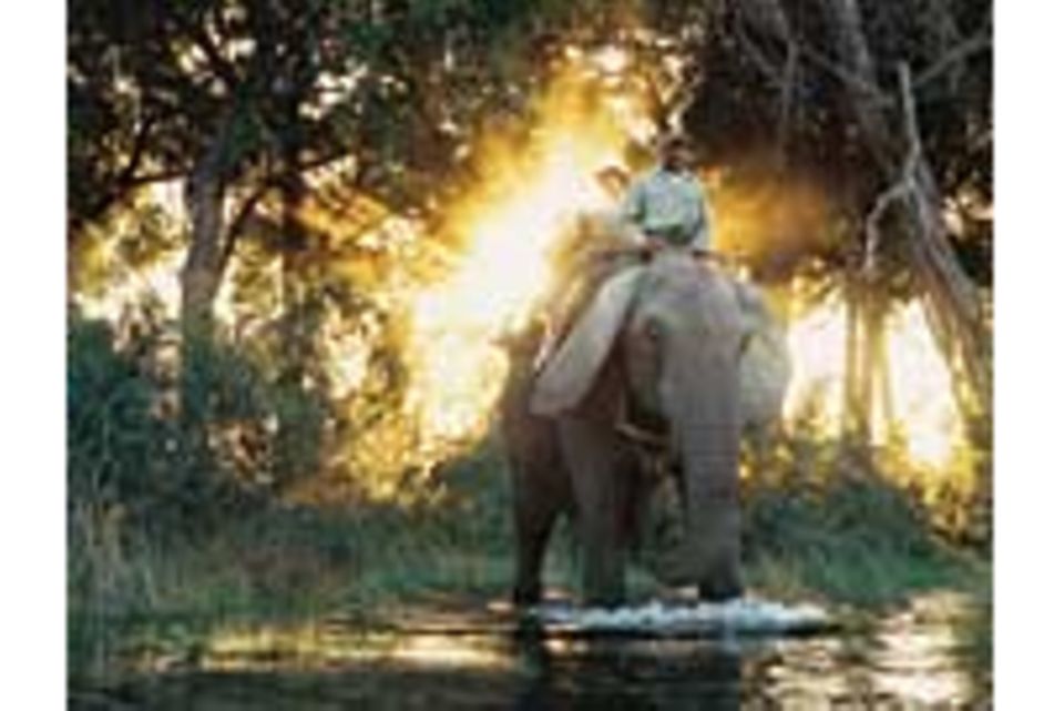 Botswana: Die Schule der Elefanten