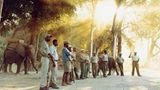 Botswana: Die Schule der Elefanten