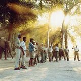 Botswana: Die Schule der Elefanten