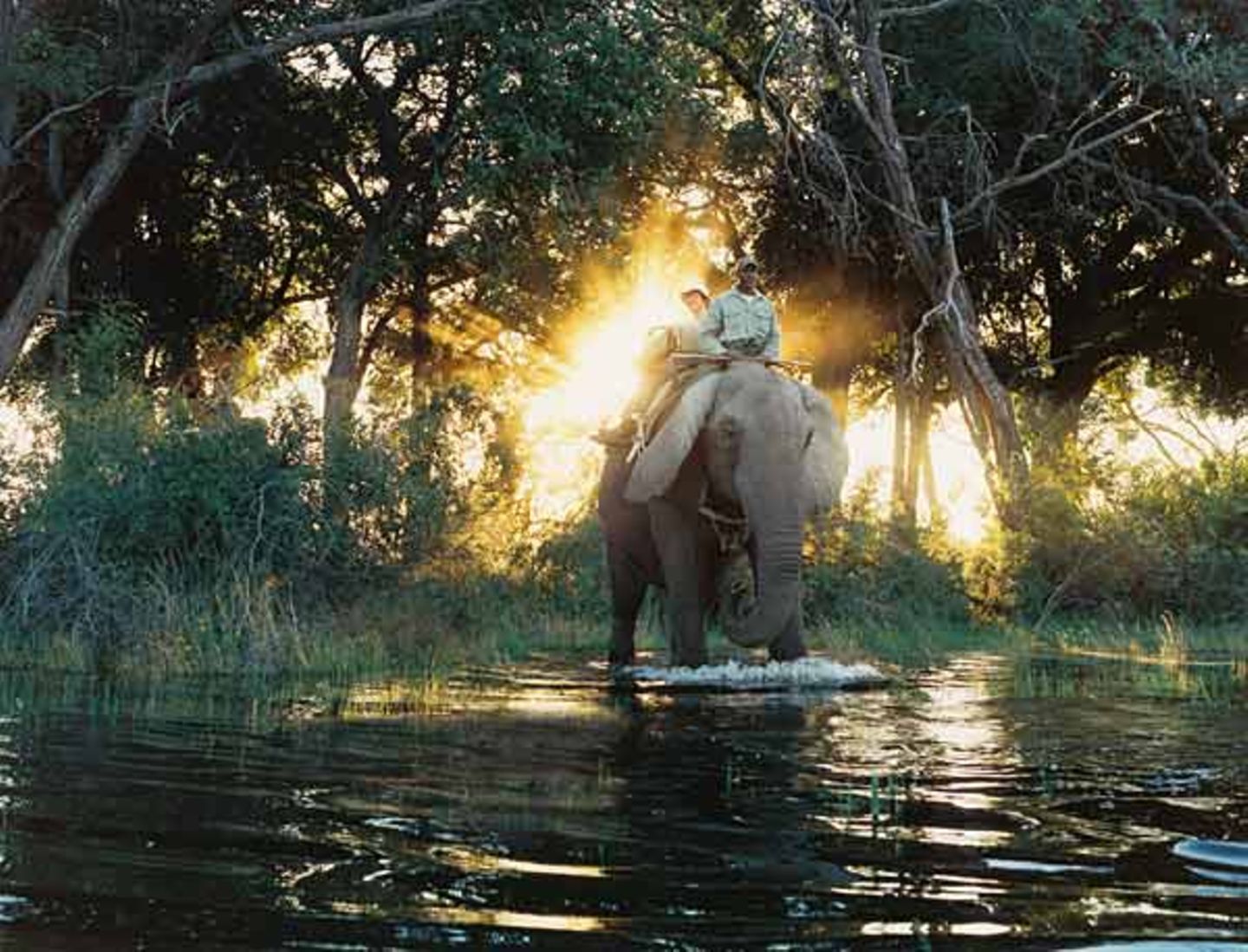 Botswana: Die Schule der Elefanten - Bild 2