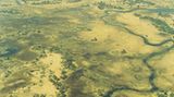Botswana: Die Schule der Elefanten - Bild 4