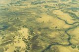 Botswana: Die Schule der Elefanten - Bild 4