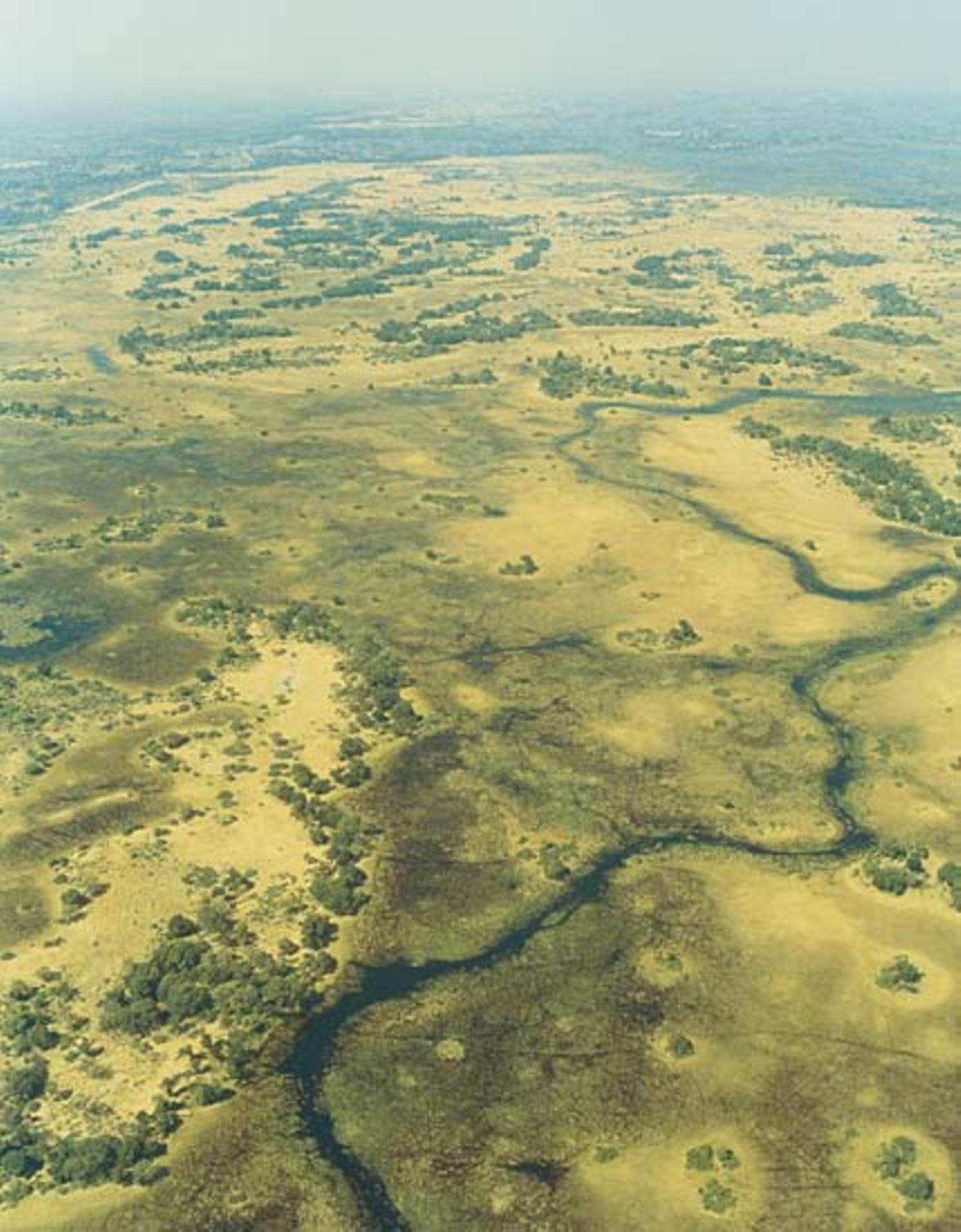 Botswana: Die Schule der Elefanten - Bild 4