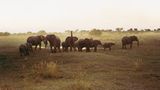 Botswana: Die Schule der Elefanten - Bild 5