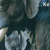 Fotogalerie: Wo Hamburg aussieht wie... - Bild 5