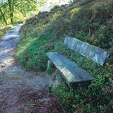 Fotoshow: Hamburgs Wildnis: Fotoshow: Hamburgs Wildnis