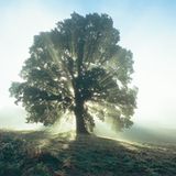 Fotoshow: Hamburgs Wildnis: Fotoshow: Hamburgs Wildnis - Bild 3