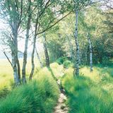 Fotoshow: Hamburgs Wildnis: Fotoshow: Hamburgs Wildnis - Bild 4