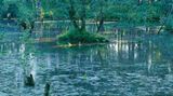 Fotoshow: Hamburgs Wildnis: Fotoshow: Hamburgs Wildnis - Bild 6