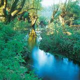 Fotoshow: Hamburgs Wildnis: Fotoshow: Hamburgs Wildnis - Bild 7