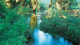 Fotoshow: Hamburgs Wildnis: Fotoshow: Hamburgs Wildnis - Bild 7