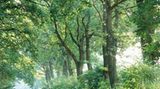 Fotoshow: Hamburgs Wildnis: Fotoshow: Hamburgs Wildnis - Bild 8