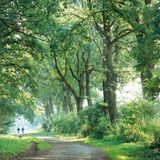 Fotoshow: Hamburgs Wildnis: Fotoshow: Hamburgs Wildnis - Bild 8