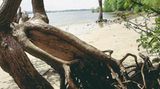 Fotoshow: Hamburgs Wildnis: Fotoshow: Hamburgs Wildnis - Bild 9