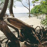 Fotoshow: Hamburgs Wildnis: Fotoshow: Hamburgs Wildnis - Bild 9