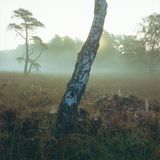 Fotoshow: Hamburgs Wildnis: Fotoshow: Hamburgs Wildnis - Bild 10