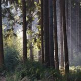 Fotogalerie: Kaiserslautern - Bild 6