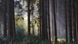Fotogalerie: Kaiserslautern - Bild 6