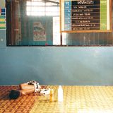 Ein Kraut wirkt Wunder