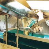 Ein Kraut wirkt Wunder - Bild 3