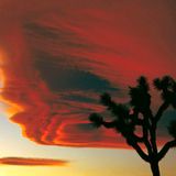 Das User-Bild des Tages - Juli 2006 - Bild 2