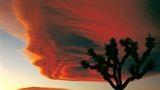 Das User-Bild des Tages - Juli 2006 - Bild 2