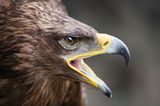 Das User-Bild des Tages - Juli 2006 - Bild 3