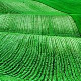 Das User-Bild des Tages - Juli 2006 - Bild 5