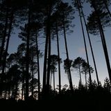 Das User-Bild des Tages - Juli 2006 - Bild 6