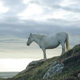 Das User-Bild des Tages - Juli 2006 - Bild 8